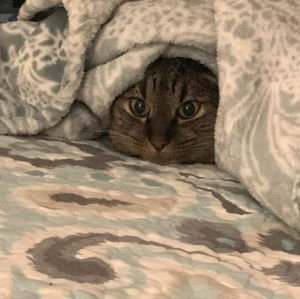 Meet your Posher, Symone